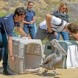 Sauvetage des oiseaux!
