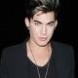 Adam Charme le cast de PLL!