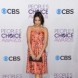 39th Annual People's Choice Awards